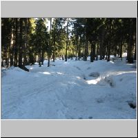 IMG_9310.JPG